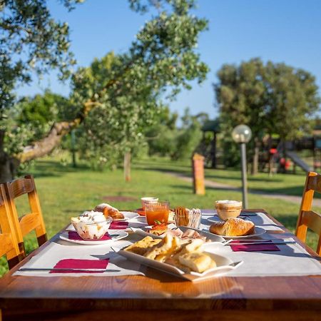 Glamping Gli Etruschi 호텔 피옴비노 외부 사진